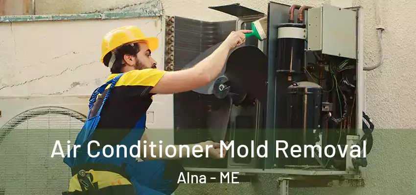 Air Conditioner Mold Removal Alna - ME