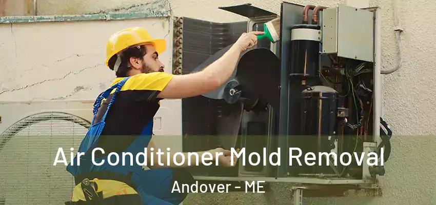 Air Conditioner Mold Removal Andover - ME