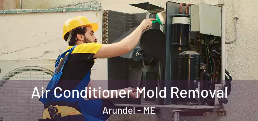 Air Conditioner Mold Removal Arundel - ME