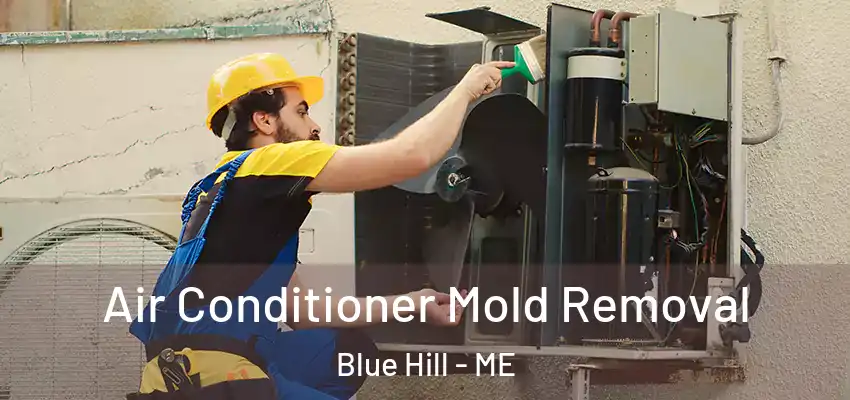  Air Conditioner Mold Removal Blue Hill - ME