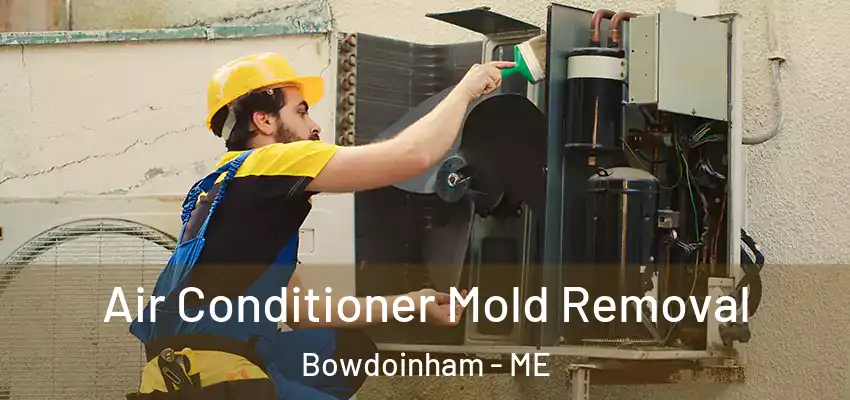 Air Conditioner Mold Removal Bowdoinham - ME