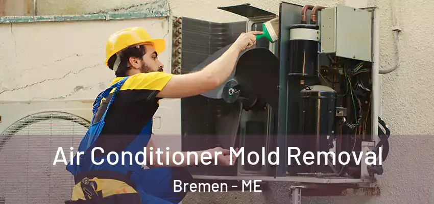 Air Conditioner Mold Removal Bremen - ME