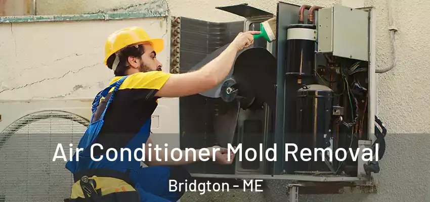  Air Conditioner Mold Removal Bridgton - ME