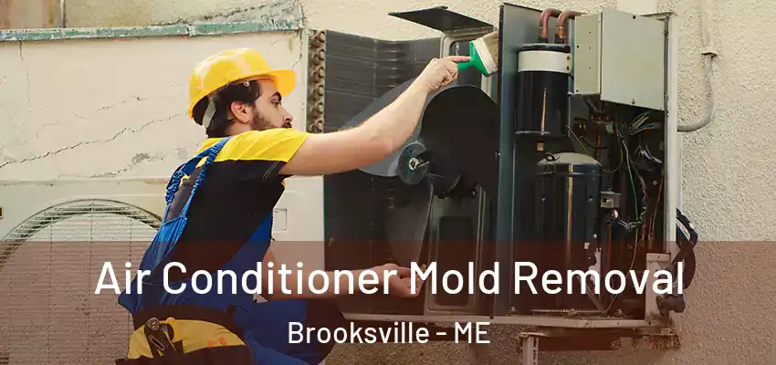  Air Conditioner Mold Removal Brooksville - ME
