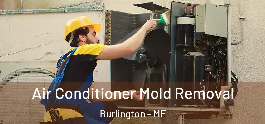 Air Conditioner Mold Removal Burlington - ME