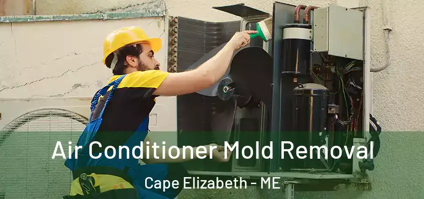  Air Conditioner Mold Removal Cape Elizabeth - ME