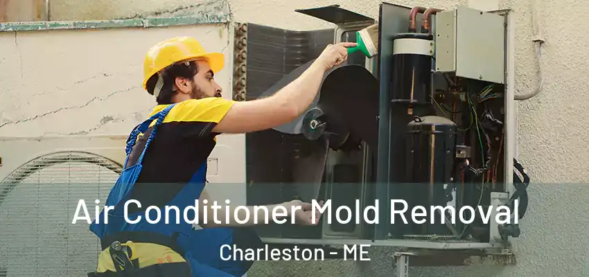  Air Conditioner Mold Removal Charleston - ME