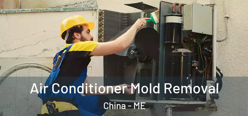 Air Conditioner Mold Removal China - ME