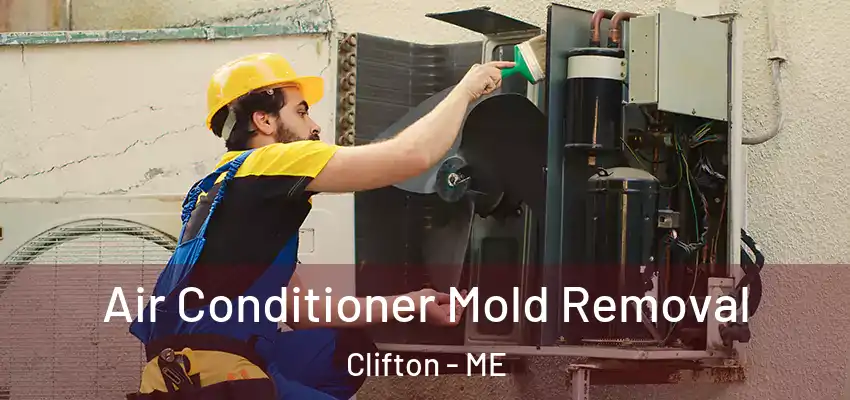 Air Conditioner Mold Removal Clifton - ME
