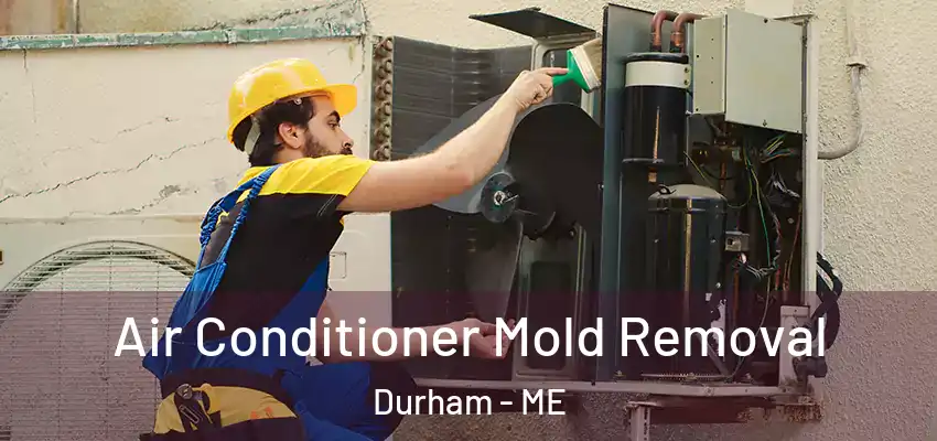 Air Conditioner Mold Removal Durham - ME