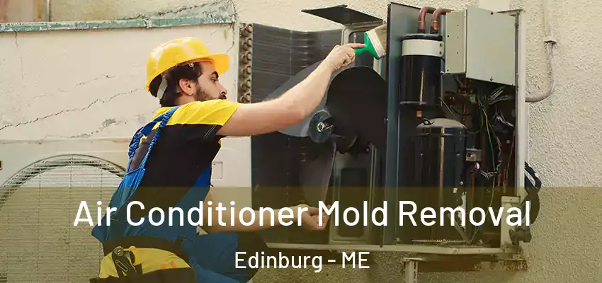  Air Conditioner Mold Removal Edinburg - ME