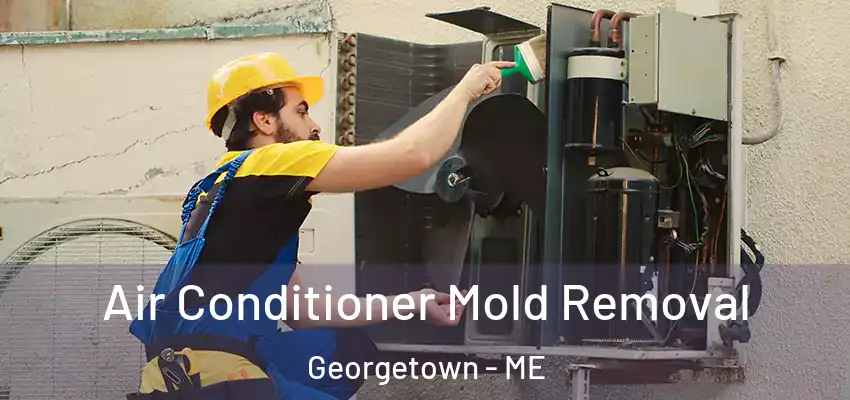Air Conditioner Mold Removal Georgetown - ME