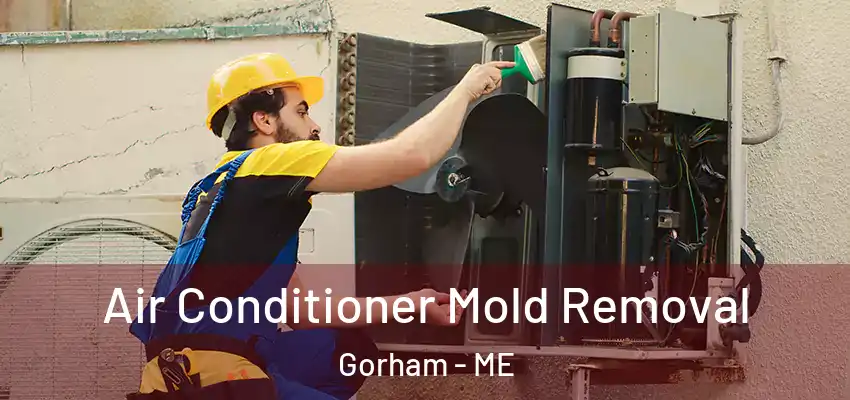 Air Conditioner Mold Removal Gorham - ME
