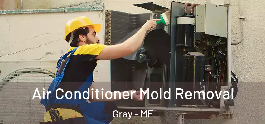 Air Conditioner Mold Removal Gray - ME