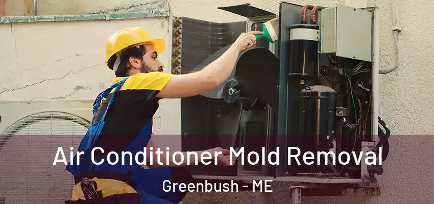 Air Conditioner Mold Removal Greenbush - ME