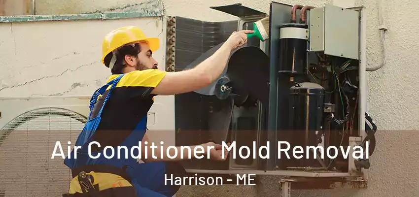 Air Conditioner Mold Removal Harrison - ME