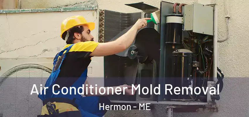 Air Conditioner Mold Removal Hermon - ME