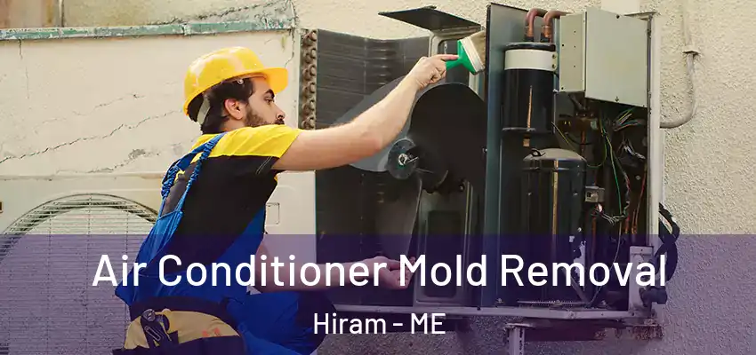 Air Conditioner Mold Removal Hiram - ME