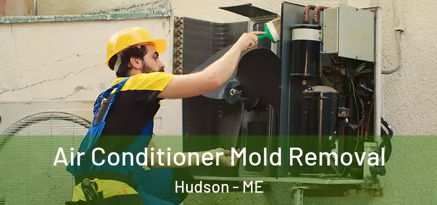 Air Conditioner Mold Removal Hudson - ME