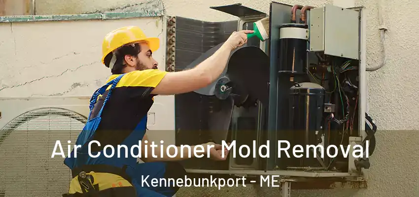  Air Conditioner Mold Removal Kennebunkport - ME