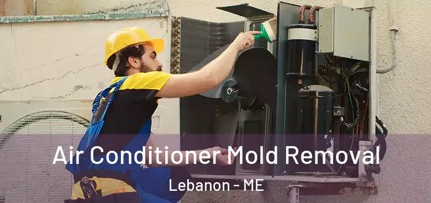  Air Conditioner Mold Removal Lebanon - ME
