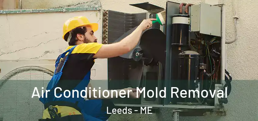  Air Conditioner Mold Removal Leeds - ME