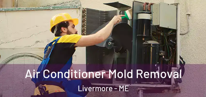  Air Conditioner Mold Removal Livermore - ME
