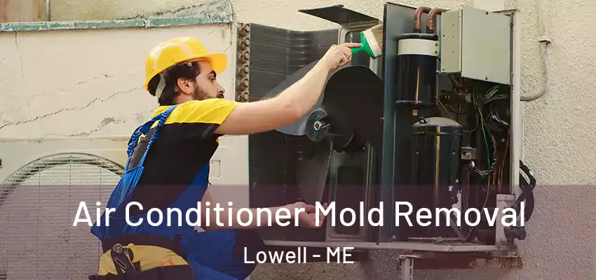 Air Conditioner Mold Removal Lowell - ME