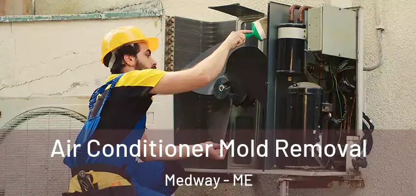  Air Conditioner Mold Removal Medway - ME