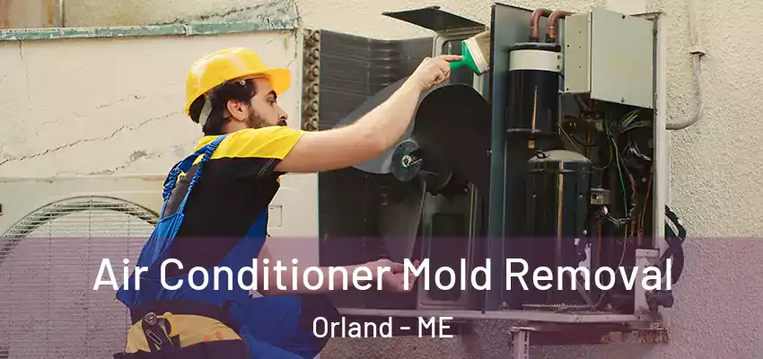 Air Conditioner Mold Removal Orland - ME