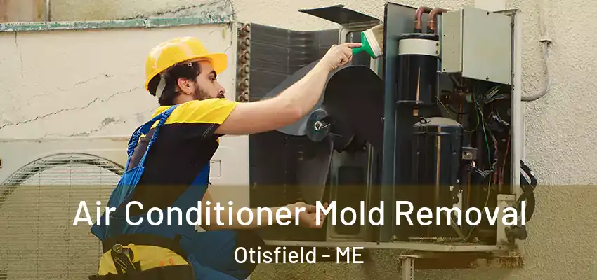  Air Conditioner Mold Removal Otisfield - ME