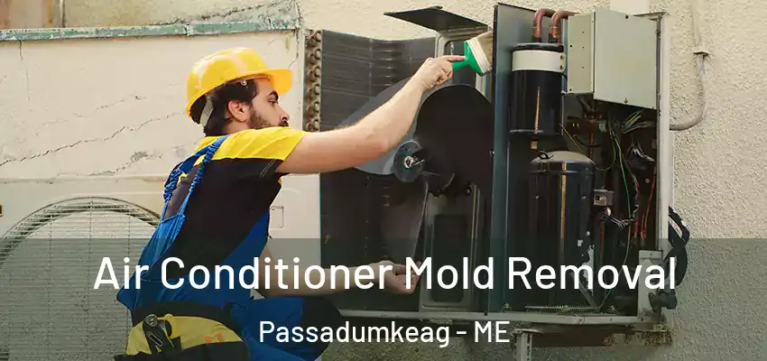  Air Conditioner Mold Removal Passadumkeag - ME