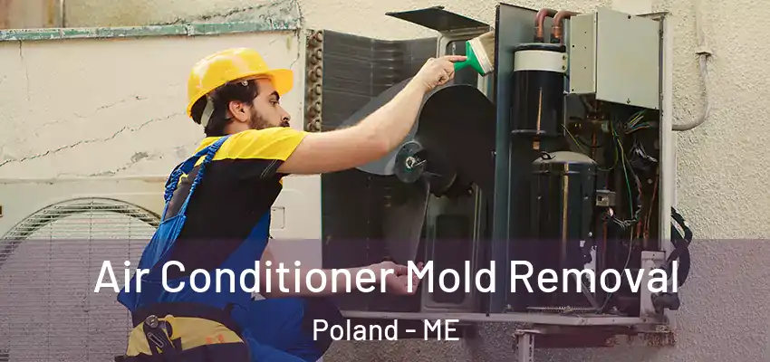 Air Conditioner Mold Removal Poland - ME