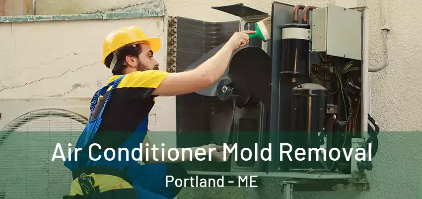 Air Conditioner Mold Removal Portland - ME