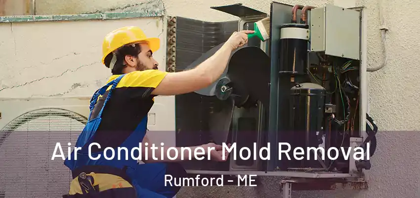  Air Conditioner Mold Removal Rumford - ME