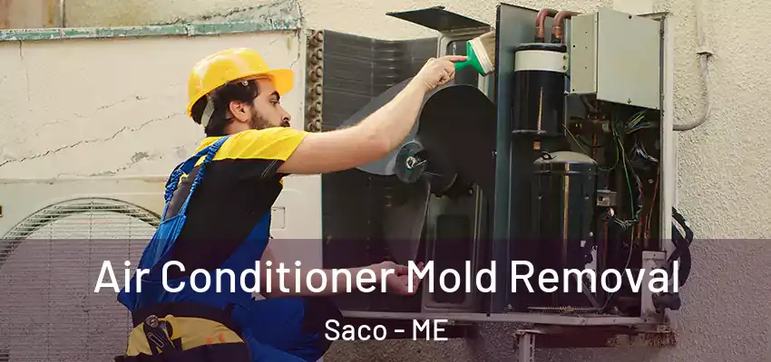  Air Conditioner Mold Removal Saco - ME