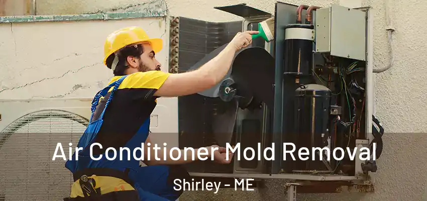 Air Conditioner Mold Removal Shirley - ME