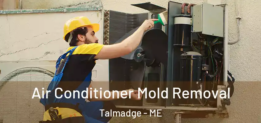  Air Conditioner Mold Removal Talmadge - ME