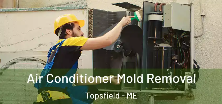 Air Conditioner Mold Removal Topsfield - ME