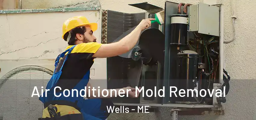  Air Conditioner Mold Removal Wells - ME