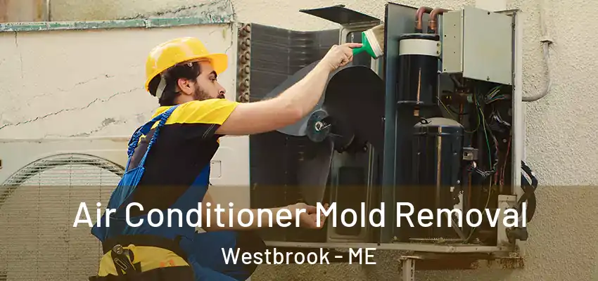  Air Conditioner Mold Removal Westbrook - ME