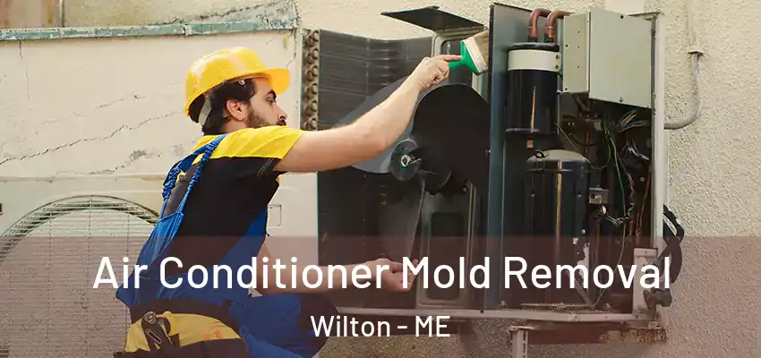 Air Conditioner Mold Removal Wilton - ME