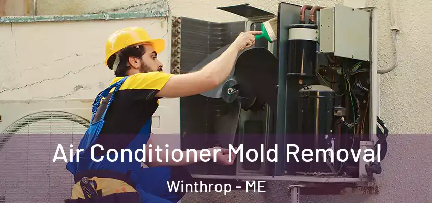 Air Conditioner Mold Removal Winthrop - ME