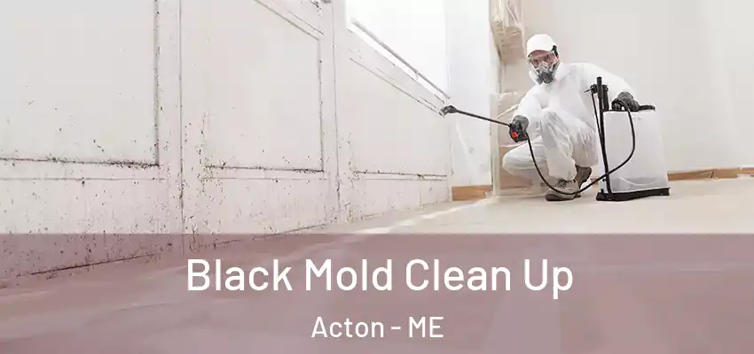  Black Mold Clean Up Acton - ME
