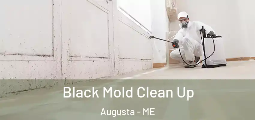Black Mold Clean Up Augusta - ME