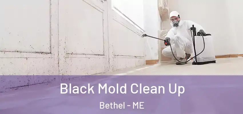  Black Mold Clean Up Bethel - ME
