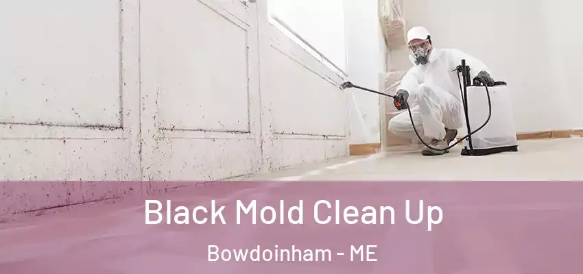  Black Mold Clean Up Bowdoinham - ME