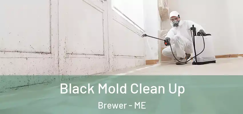  Black Mold Clean Up Brewer - ME