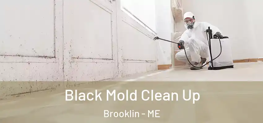  Black Mold Clean Up Brooklin - ME