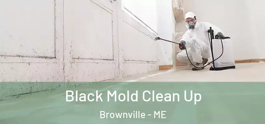 Black Mold Clean Up Brownville - ME